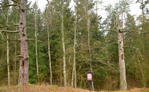 6_Zervynų dravės Narkaus foto.jpg